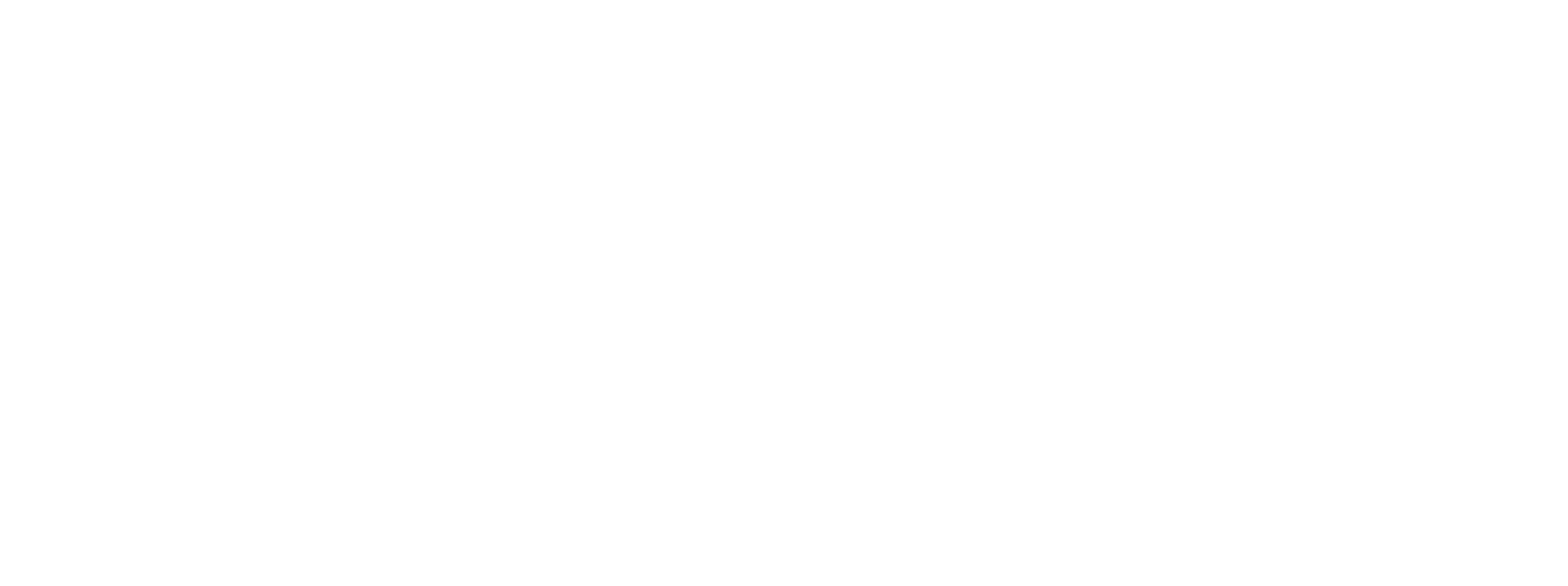 Logo_Wissinger_weiss